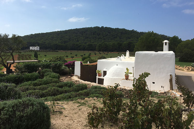LT ibiza interior santa agnes