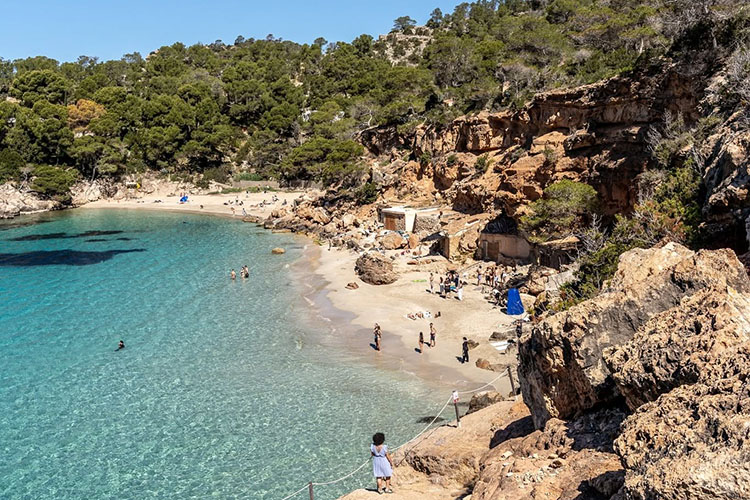 T playas san antonio saladeta