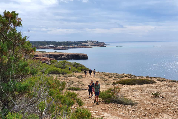 t bienestar ibiza walking