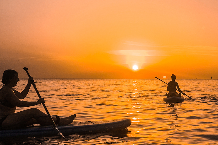 t planes septiembre paddle